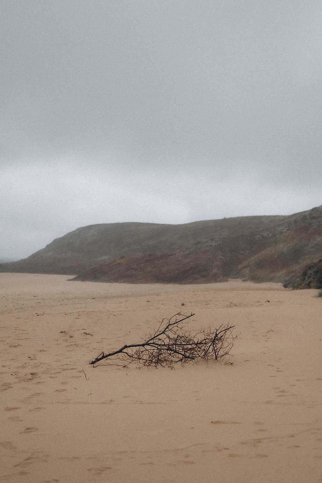 Séance Famille Erquy - 33